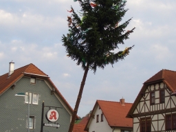 K07